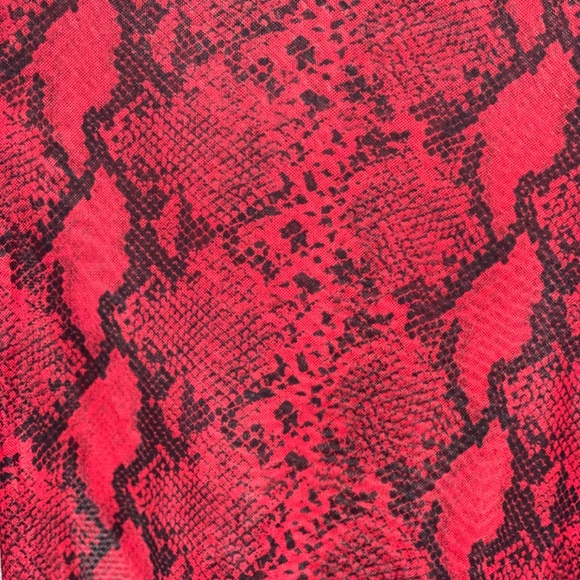 Víbora - Picture 2 of 3